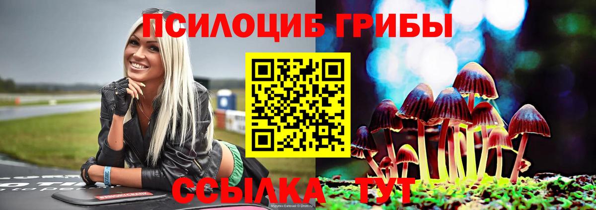 Галлюциногенные грибы Cubensis Богородицк