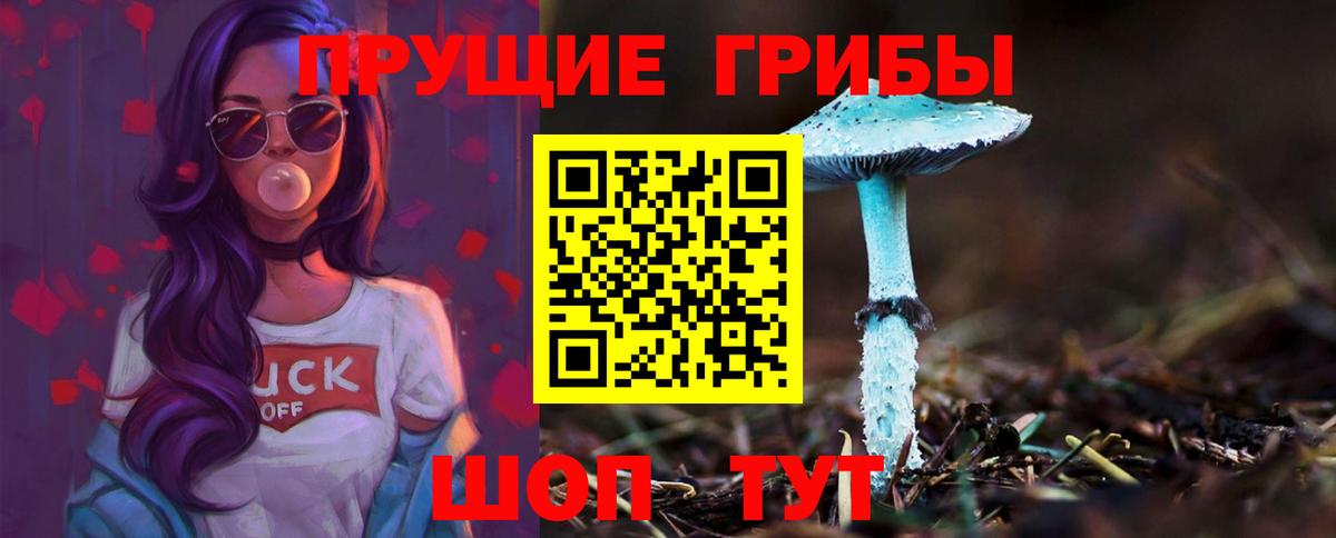 Богородицк  Псилоцибиновые грибы мицелий  Галлюциногенные грибы Magic Shrooms  наркошоп  Вход с VPN 